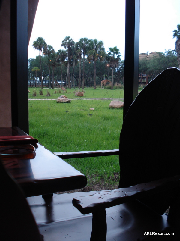 Sanaa View